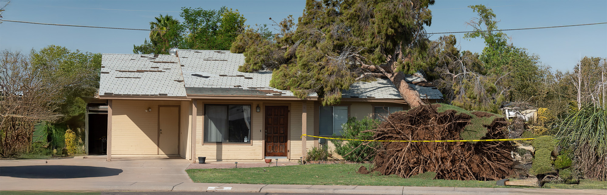 Tree Damage to Roof after Major Monsoon